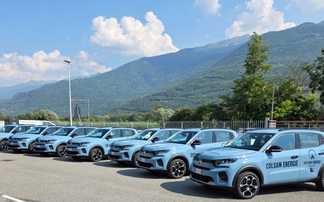 Citroën C3 azzurre